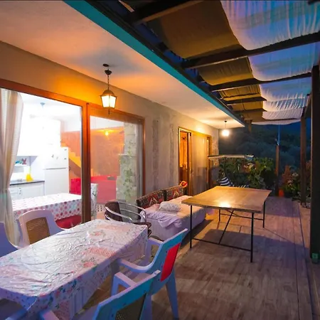 Villa Olive Akyaka Gokova Daily Weekly